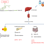 Nutrition Research