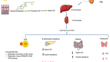 Nutrition Research