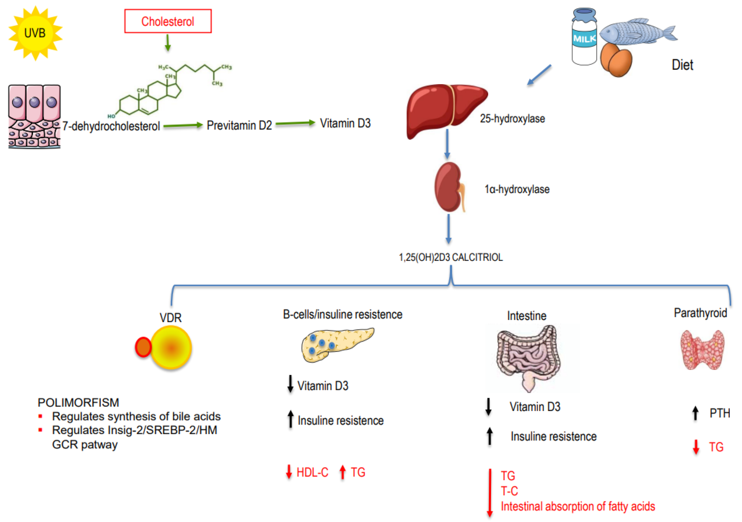 Nutrition Research